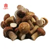 /product-detail/2017-wholesale-mushroom-iqf-frozen-porcini-mushroom-frozen-boletus-edulis-60303253801.html