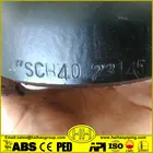 Butt Caps Cap End Pipe Caps SCH40 Carbon Steel Butt Welded Pipe Fitting End Caps