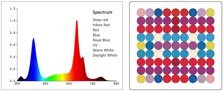 grow light spectrum-1
