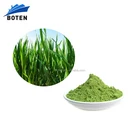 100% Nature organic wheatgrass powder