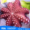 /product-detail/hl089-fresh-and-frozen-octopus-vulgaris-with-haccp-certification-60324108936.html