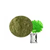 /product-detail/wholesale-moringa-dried-leaf-extract-powder-health-care-moringa-for-weight-loss--62159184438.html