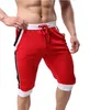 No logo cotton knee-length elastic waist gymnastics shorts mens yoga shorts red