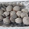 /product-detail/forasen-continuous-shipments-sawdust-charcoal-to-greece-and-turkey-markets-60731698492.html