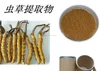 /product-detail/gmp-factory-supply-hot-sale-high-quality-chinese-caterpillar-fungus-cordyceps-extract-powder-90--60182821024.html