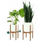 Modern Adjustable Bamboo Plant Stand - Adjust Width 8" up to 12" - White Ceramic Plant Pot