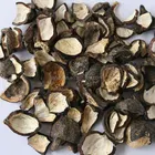 Pistachio Sorting Machine Anysort Peanuts Processing Machine/Filbert Sorting Machine/Pistachio Color Sorter