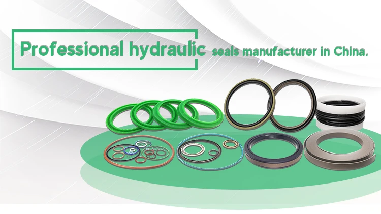DMS Seals Top spring energized seals suppliers for choke lines-2