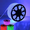 Waterproof 220V Flexible RGB 5050 SMD LED Strip Light with 24key remote controller
