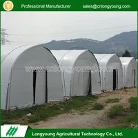 Low Cost Professional Agriculture Mushroom Greenhouse