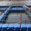 /product-detail/alibaba-products-fish-farming-cage-float-best-products-to-import-to-usa-60696341336.html