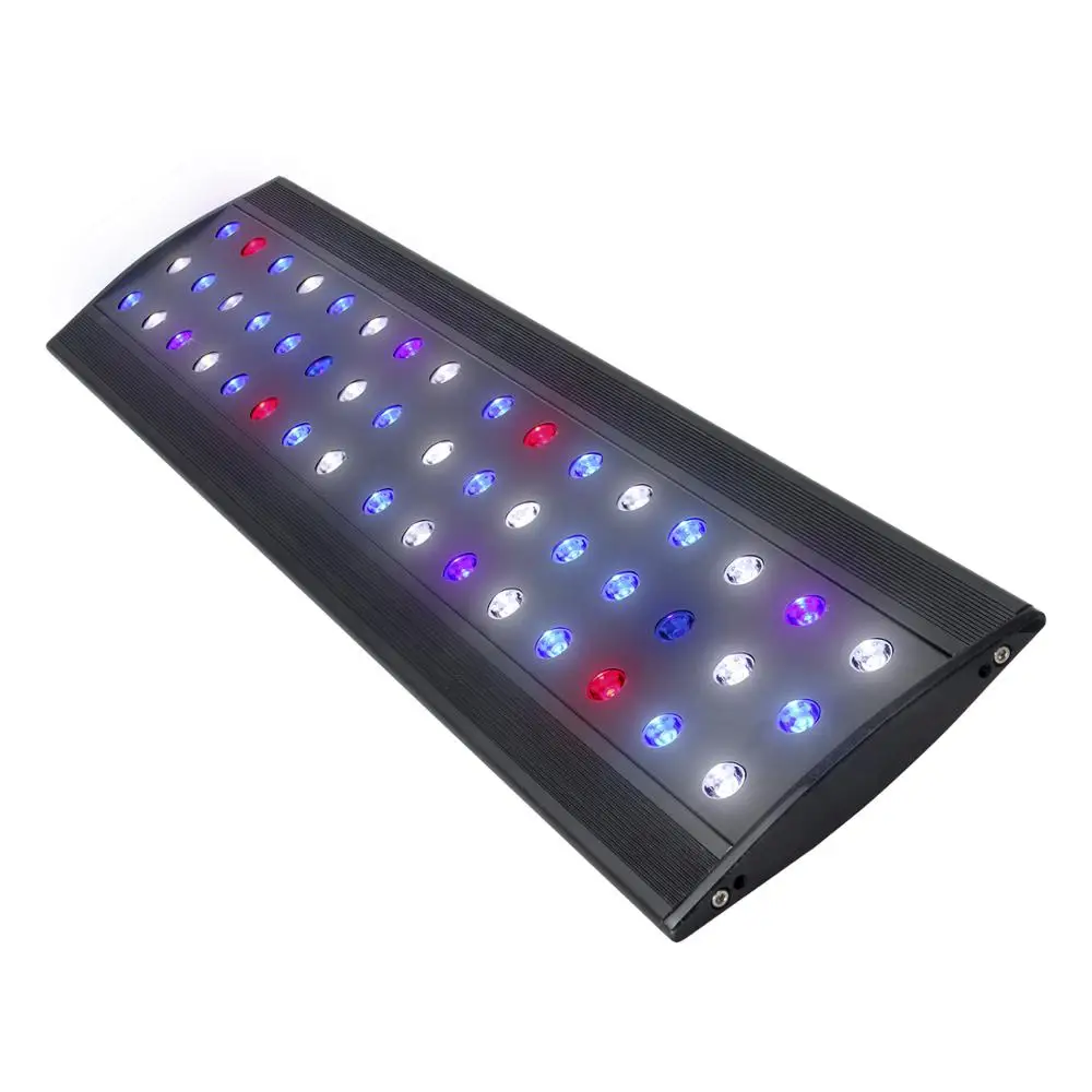 wholesale led coral grow
