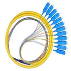 High Quality Sc /apc Single Mode 12 Color Fiber Optic Pigtail 2.0 Mm Fan Out Fiber Cables