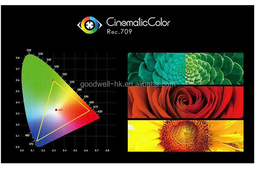 Cinematic Color REC 709.jpg