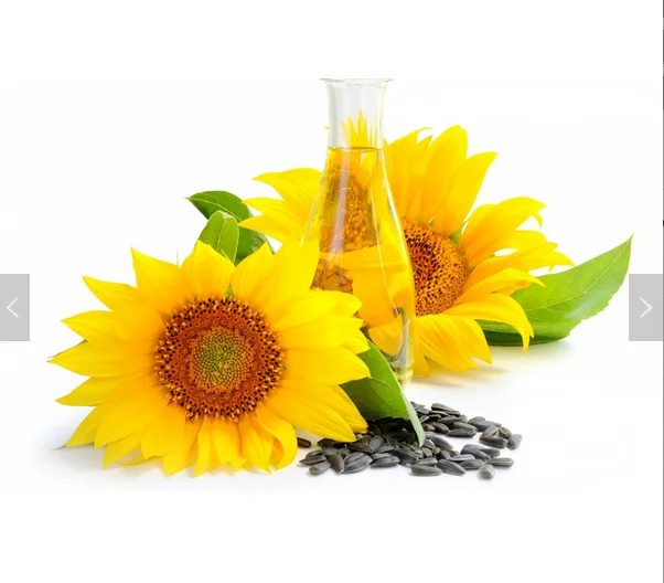 best quality refined sunflower oil at best price refined cooking