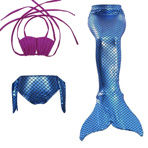 4253324459_898390851