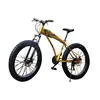 new model Hot sale good quality customized 26" mountain bike MTB bicycle fat snow bike
