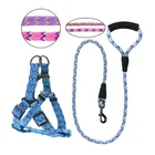 China Factory Direct Price Nylon PP Round Rope Pet Dog Training Leash Harness Set