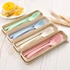 Plastic spoon fork chopsticks Wheat Straw Reusable Camping Biodegradable plastic cutlery