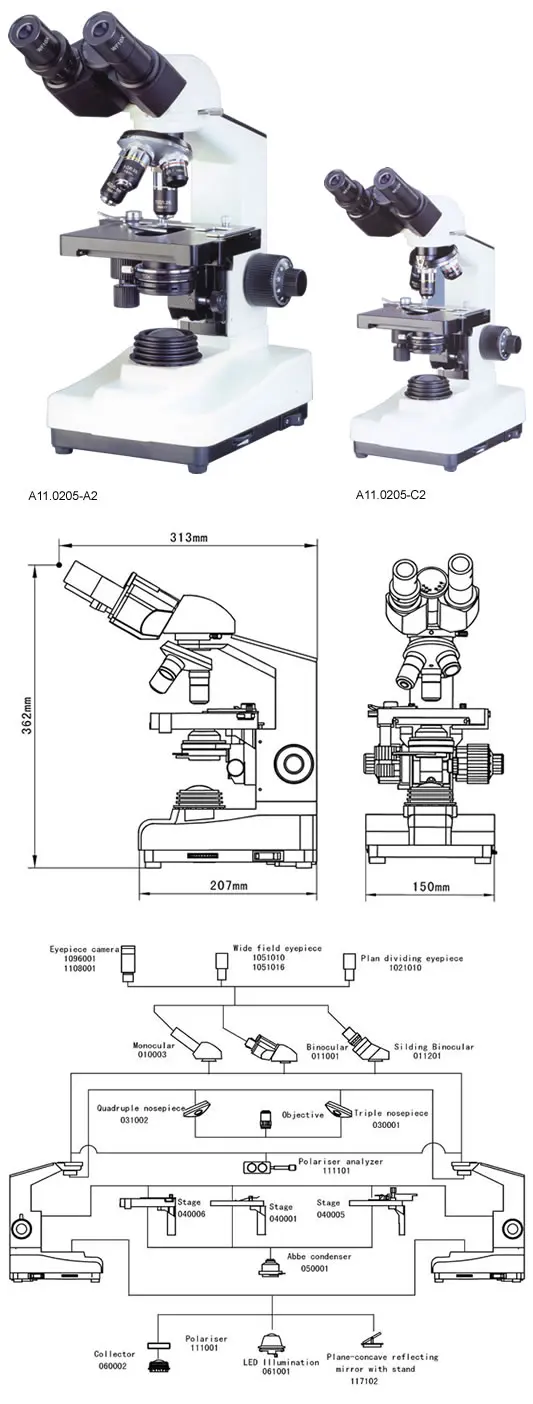 A11.0205 L135.jpg