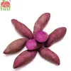 Chinese purple sweet potato on sale