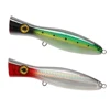 HONOREAL 120mm/160mm Top water Aspius popping lures hard fishing bait