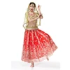 New Indian Sari costume female Bollywood dance performance belly dance costume