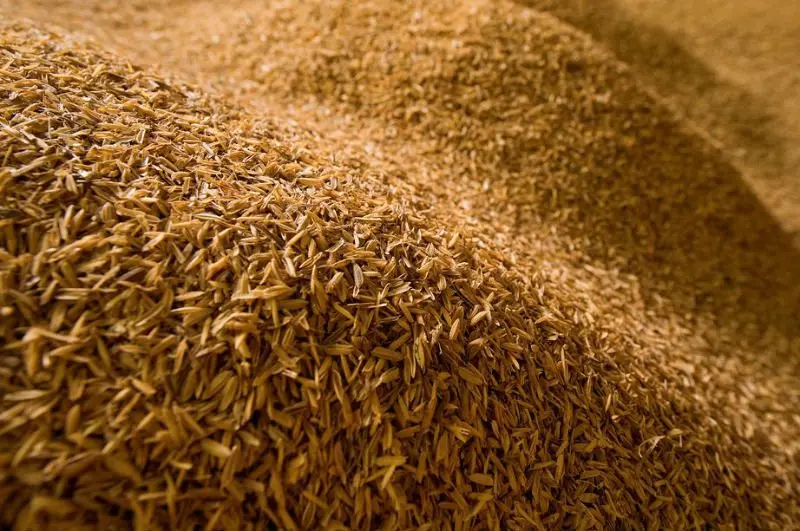 Natural Agriculture Rice Husk Waste