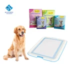 Hot sale dog wee wee pad customized brand package pet training mats