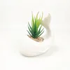 Desktop Cute Creative Decoration Animal Dolphin Ceramic Flower Pot Succulent Plant Pot