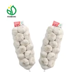 china fresh style wild garlic for sale