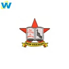 Custom logo iron patch star, custom embroidery designs