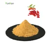 /product-detail/wholesale-dried-goji-berry-powder-60684798215.html