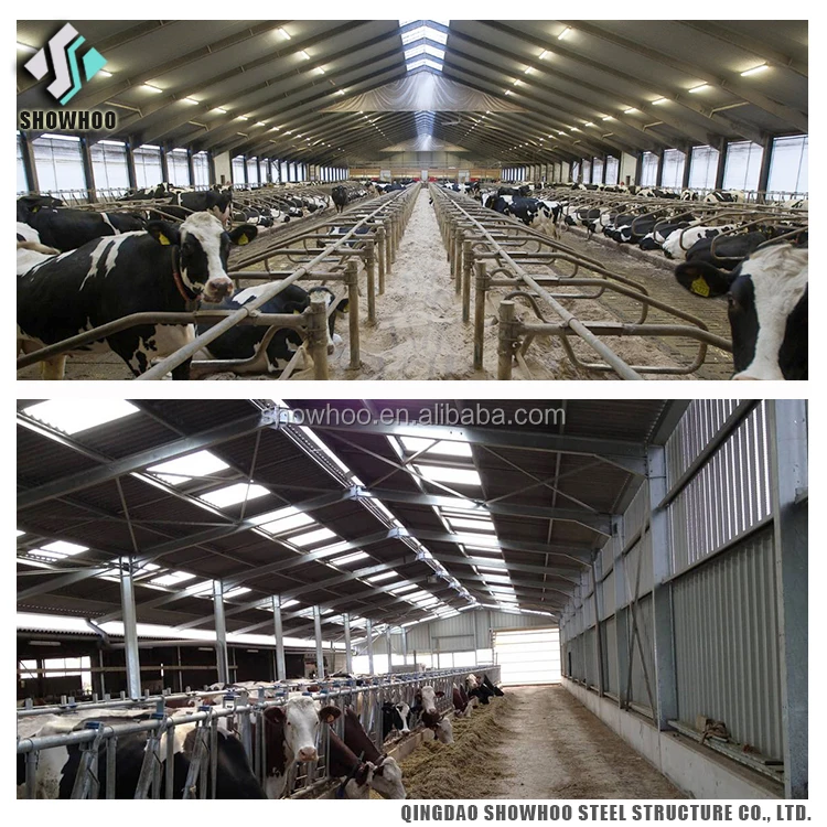 Low Cost Steel Structure Prefabricated Cow Farm House Goat Farm Shed