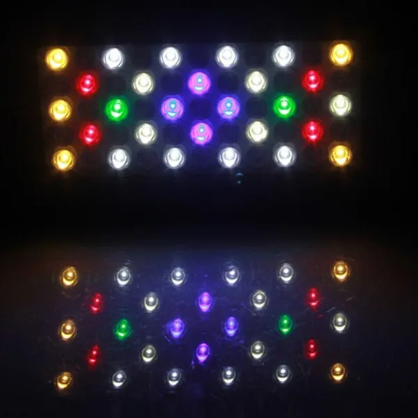Aquarium Light -2.jpg