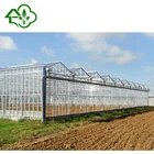 Glass Agricultural greenhouse from Fuer
