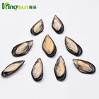 Frozen Half Shell Mussels