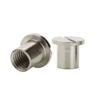 Inner Female Thread Blind Hole Flat Head Slotted Minus 316 SS Inter m5.5 Handbag screw