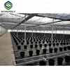 multi span strawberry farming glass greenhouse used for sale