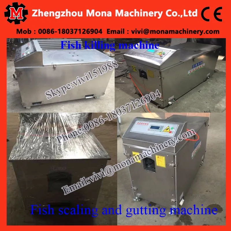 fish gutting machine (3).jpg