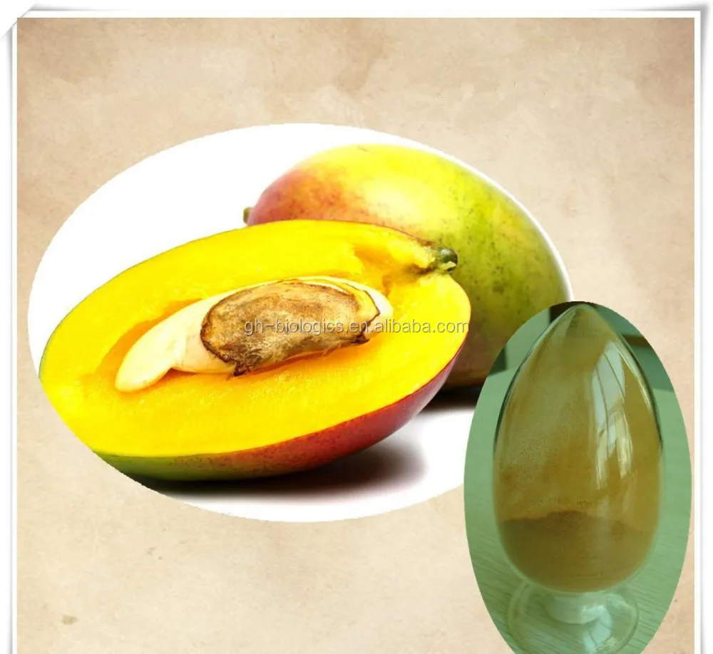 weight loss natural african mango seed extract powder