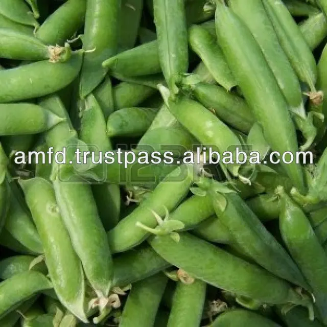 pakistan green pea