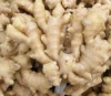 popular product dehydrated whole dried dry ginger