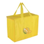 Promotional 600-denier polyester insulated drink coolers lunch bag for adults