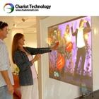 Chariot 3D self adhesive holographic rear projection film for glass,transparent, gray,dark gray,white