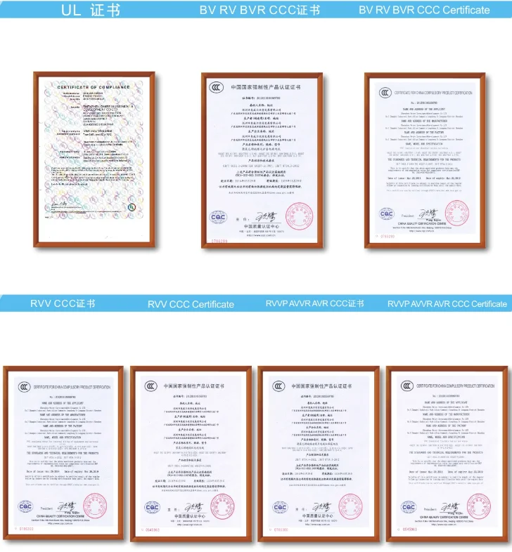 certificate3.png