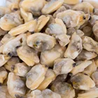 FDA Meat Good Quality No Sand Frozen Short Neck Clam Quail Meat Saw