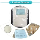 For Bodybuilding Bulk Stocks Supply Instant Vegan BCAA Powder