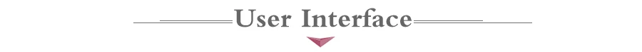 User Interface