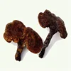 /product-detail/bulk-original-ganoderma-lucidum-extract-reishi-mushroom-60642019956.html